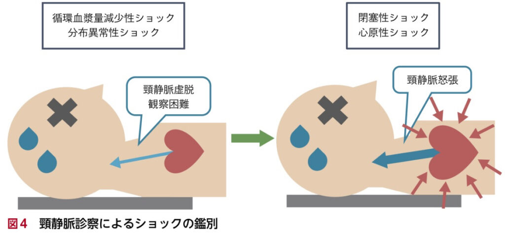 ショック | くすり~の