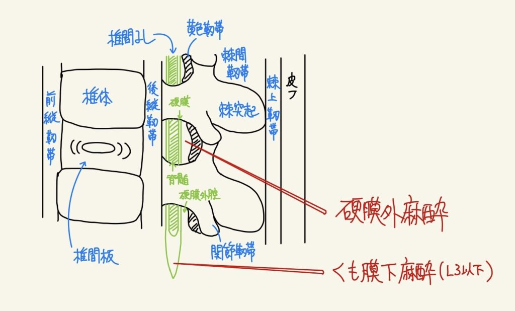 麻酔薬 麻酔科 くすり の