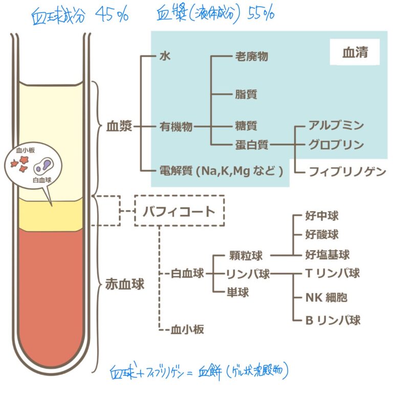 血液内科（血液総論・各論） | くすり～の