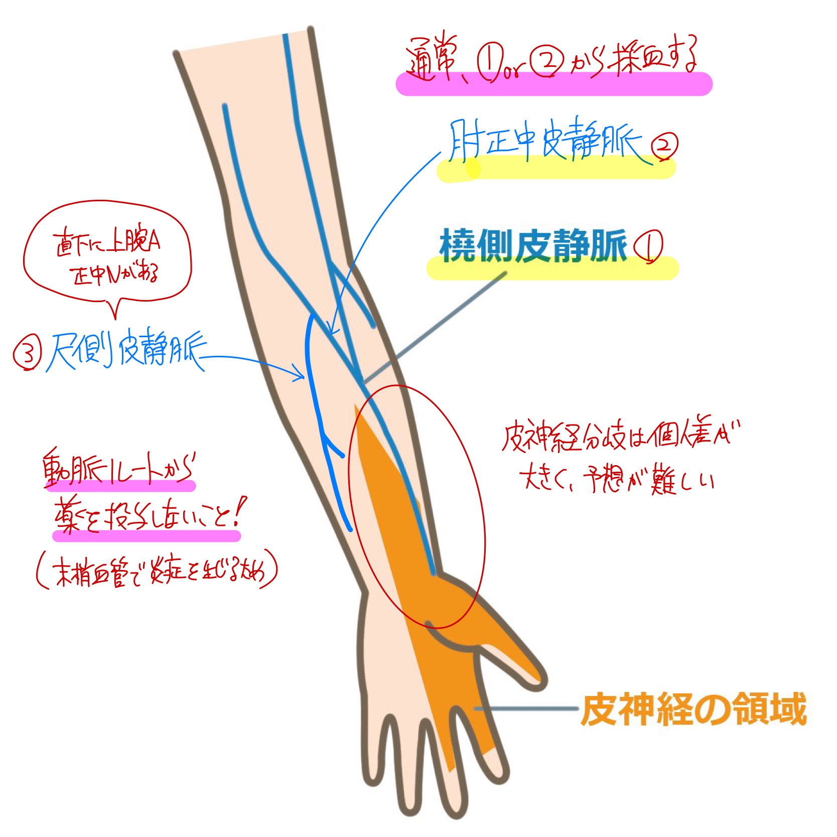 注射・末梢静脈路確保 | くすり~の